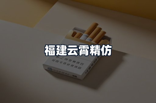 福建云霄精仿